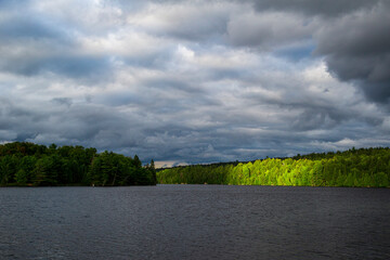 A patch of sunlight peeks out through a cloudy day at Ontario's Algonquin Park.