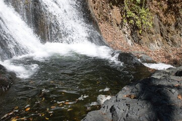 Naklejka premium River Trip
