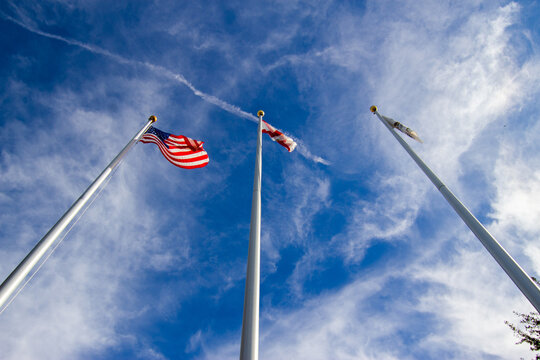 USA Florida and Volusia county Flags