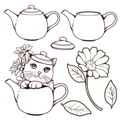 Set of cute doodle cats and flowers in teapot. Isolated on white background. This cute illustration design can be used as decoration for both print and digital media as well.