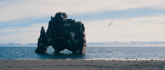 Hvítserkur, Vatnsnes peninsula, in northwest Iceland