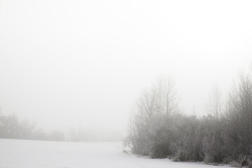 Obraz na płótnie Canvas Hazy winter scene on frozen pond snow and brush