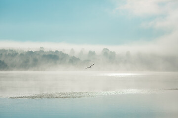 Thick fog in the morning on the river.