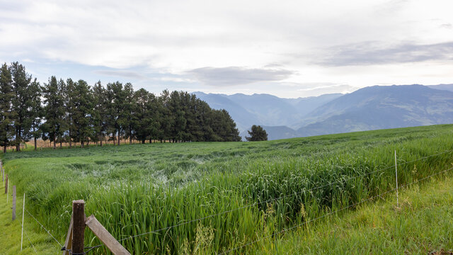 landscape of rural Barragan Valle del Cauca Colombia in the Colombian Andes