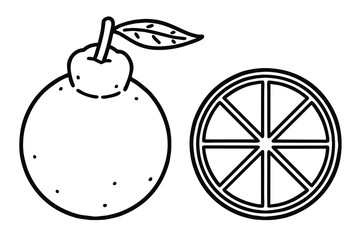 Hallabong. A dicotyledonous plant, a patient-free tree, and mandarin oranges. It is mainly grown in Jeju Island. Vector line art illustrations set.
