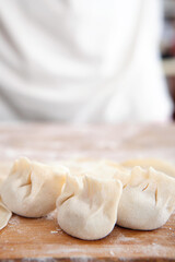 Fototapeta na wymiar Wrapped dumplings and dumpling wrappers