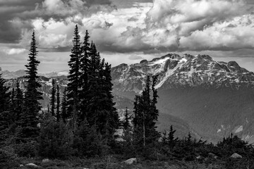 Breathtaking black and white view of the mountains peaks, forests, and clouds in Whistler, British Columbia, Canada