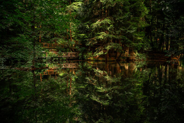 A peaceful and dreamy view of the clear reflection of a bridge in the forest on a small lake