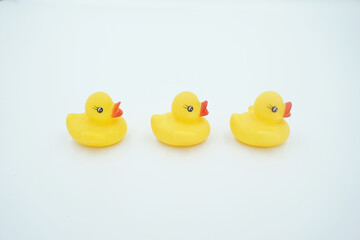 Three yellow ducklings on a white background