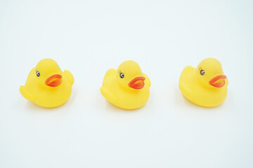 Three yellow ducklings on a white background