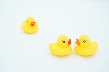 Three yellow ducklings on a white background