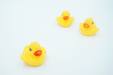 Three yellow ducklings on a white background