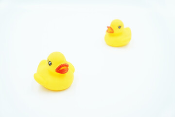 Two yellow duckling toy on a white background