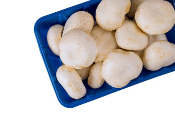 White whole mushrooms isolated on white background.