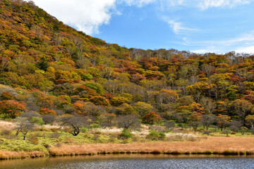赤城山・覚満淵（かくまんぶち）の紅葉