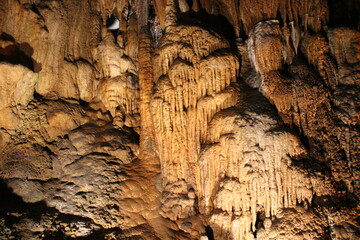 Stalactites hold tight to the ceiling, and Stalagmites grow to the ceiling from the floor. Fantastic Cavern, Springfield, Missouri. 