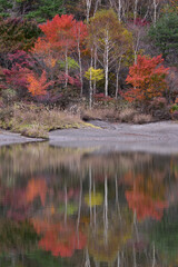 赤城山・小沼の紅葉そして見事な鏡面反射