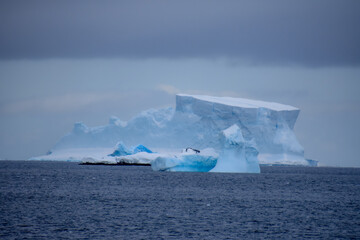 hielos a la deriva en la antartica /  drifting ice in the antarctic © Aaron