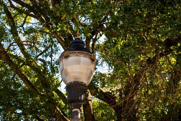 Fototapeta na wymiar gold color streetlight at the park