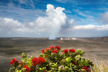 Kilauea volcano with Ohia tree and its flower, the Lehua blossom. Halemaumau crater. Big Island...