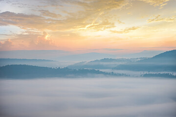 foggy landscape forest in the morning beautiful sunrise mist cover mountain background at countryside winter.