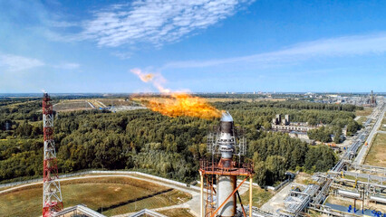 A burner for burning associated gas at a petrochemical plant. - obrazy, fototapety, plakaty