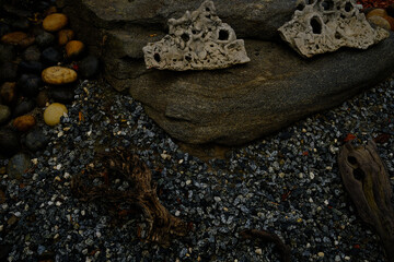 Rock garden with contrasting shapes, colors, and textures