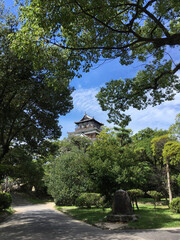 Hiroshima castle floating above trees. Japan