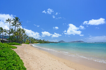Palm trees on an empty sandy beach along the quiet and uncrowded Kahala Beach area in Honolulu on Oahu, Hawaii.