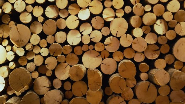 Close-up of a log cut. Firewood is laid out in a pile
