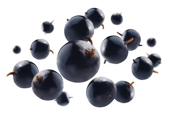 Blackcurrant berries levitate on a white background