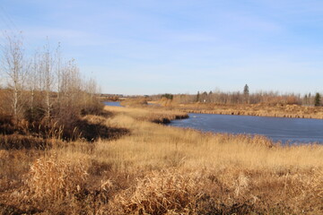 Warm November On The Wetlands, Pylypow Wetlands, Edmonton, Alberta