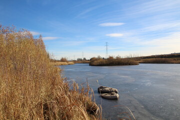 First Ice On Pond, Pylypow Wetlands, Edmonton, Alberta