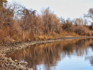 Levee on the shore of the Sacramento river with trees and reflections on the water