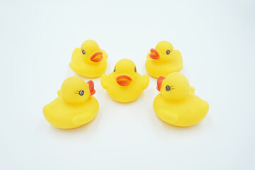 Yellow duck animal toy on white background