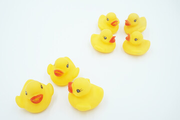 Yellow duck animal toy on white background