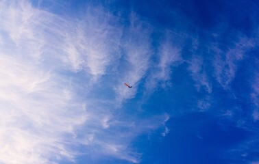 파란하늘 속에 날고 있는 연