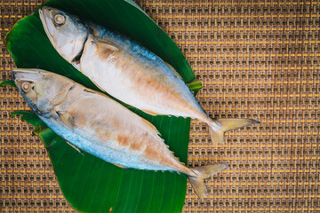 smoked mackerel, Fresh mackerel from Mae Klong, Thailand, Thai food, Rastrelliger brachysoma.