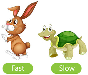 Opposite adjective words with fast and slow