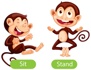 Opposite words with sit and stand