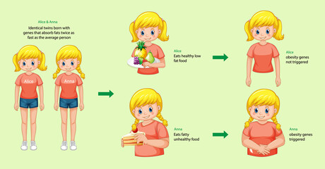 Roles of genes and environment. Body fat in identical twins infographic.
