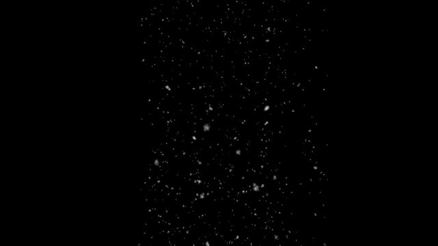 Snow falling snow isolated on black background in 4K to be used for composing. motion graphics, Large and small snow snowflakes, Isolated falling snow, Ethereal, Intense, Storm. 
