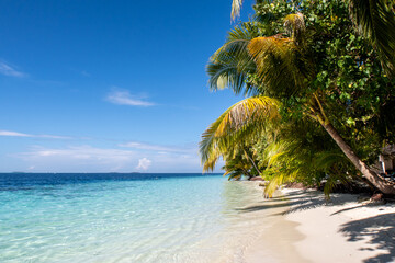 Tropical island coast landscape with coconut palm trees, white sandy beach and turquoise ocean, copy space, Maldives.