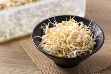 Fresh mung bean sprouts in a bowl on wooden background, Organic vegetables and food ingredients in Asian food cooking