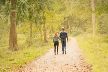 Fototapeta premium Beautiful young man and woman walking hand in hand, in the autumn forest. They walk on a sandy path, seen from behind