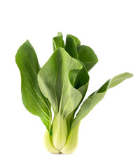 Obraz premium Whole pak choi