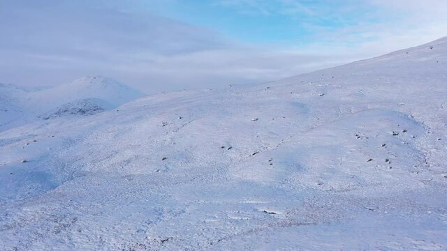 A view of Lochan na h-Achlaise on rannoch moor in the argyll region of the highlands of Scotland during a winter day near glen coe