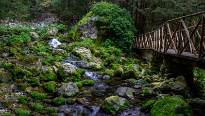 wonderful waterfalls of the cypress forest of fontegreca