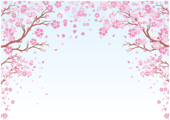 桜　花びら　空　春