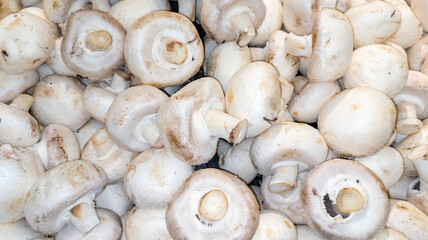 Champignon background in top view of mushroom in market for sale